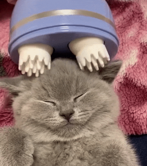 Electric Scalp Massager