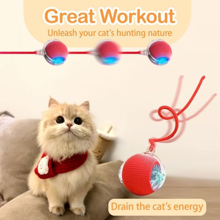 Automatic Cat Teaser Ball Toy