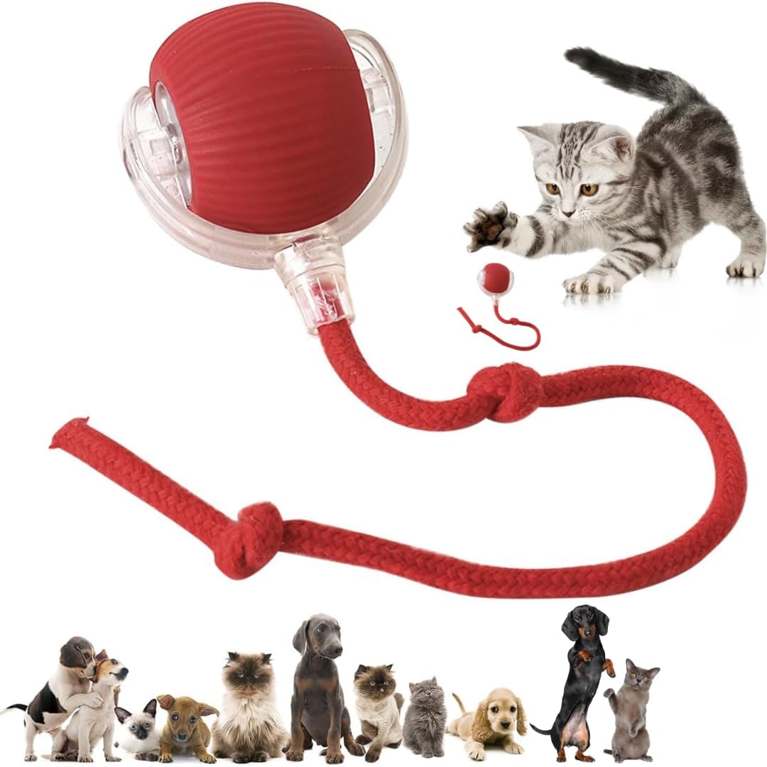 Automatic Cat Teaser Ball Toy