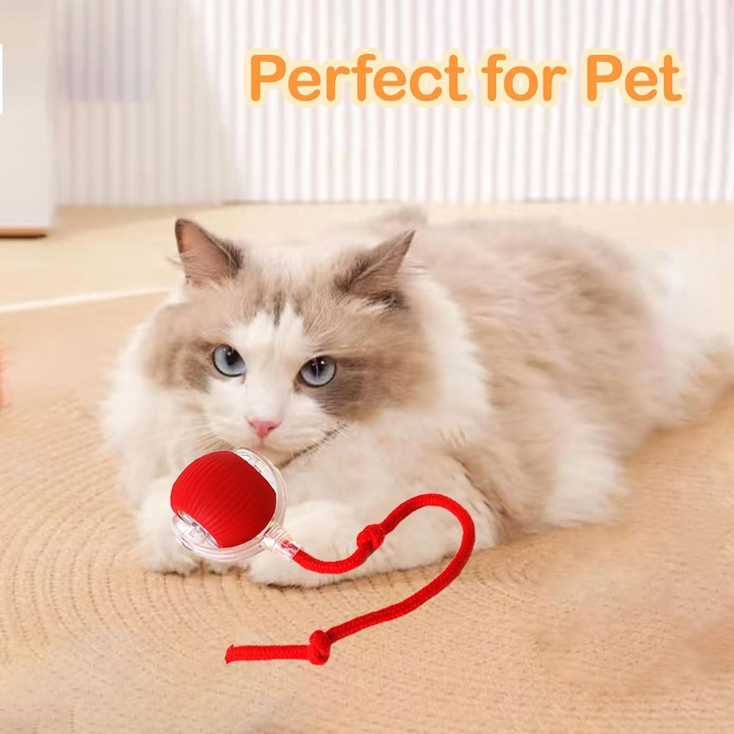 Automatic Cat Teaser Ball Toy